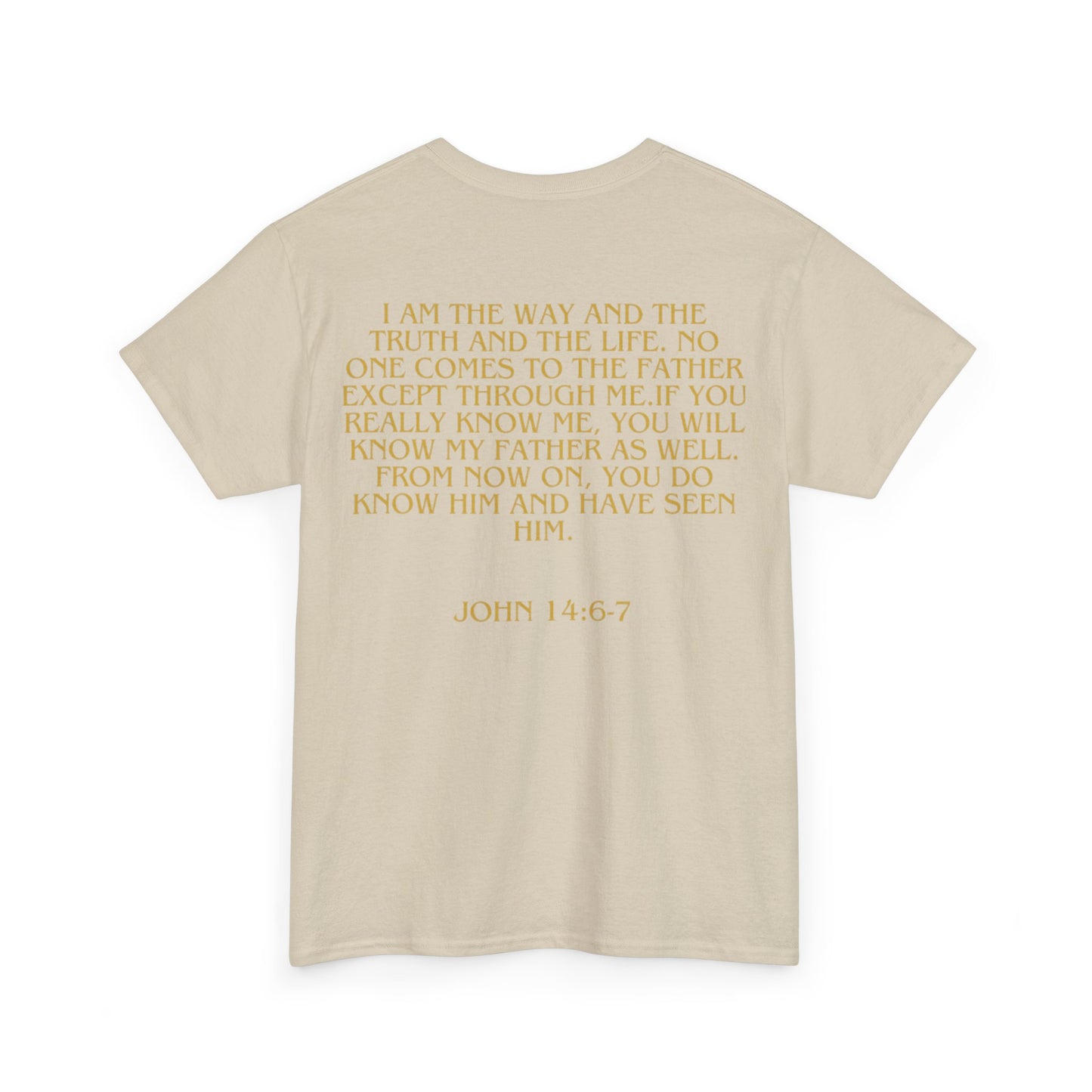 Jesus is the Light of the World Shirt